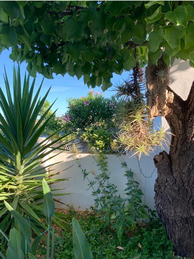 Casa Na Colina : The And The Long House *