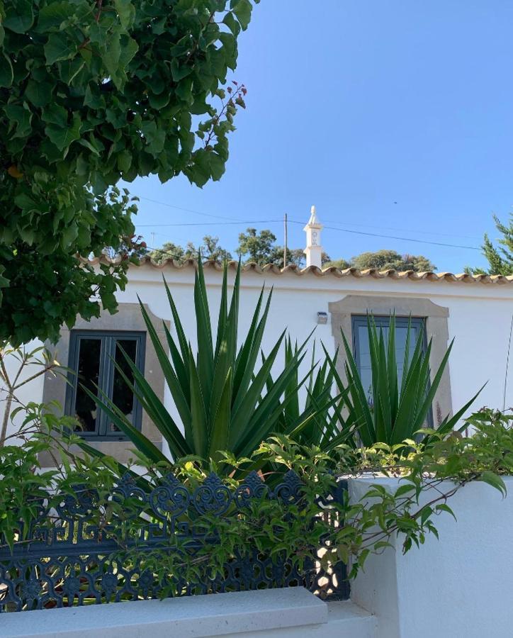 Casa Na Colina : The And The Long House *