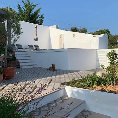 Casa Na Colina : The Cottage And The Long House Sao Bras de Alportel Exterior photo